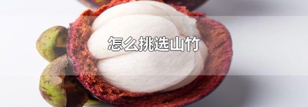 怎么挑选山竹