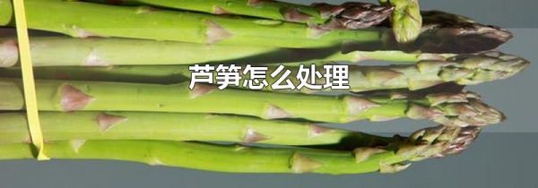 芦笋怎么处理