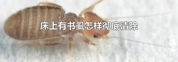 床上有书虱怎样彻底清除