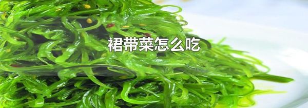 裙带菜怎么吃