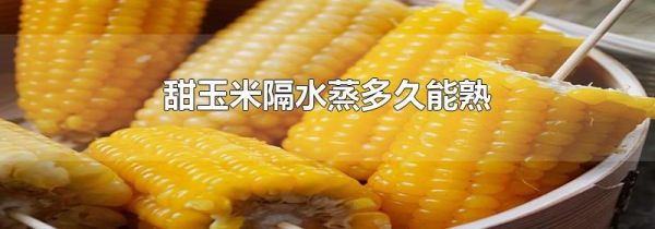 甜玉米隔水蒸多久能熟