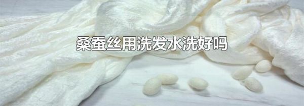 桑蚕丝用洗发水洗好吗