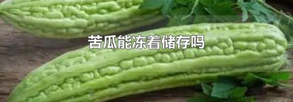苦瓜能冻着储存吗