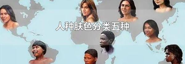 人种肤色分类五种