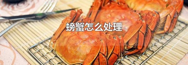 螃蟹怎么处理