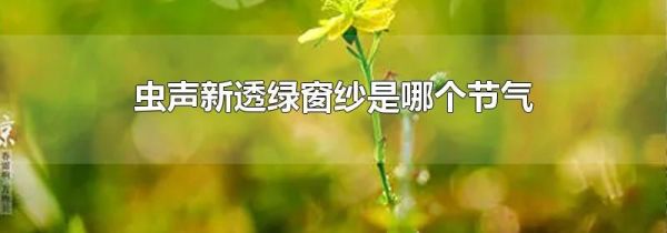 虫声新透绿窗纱是哪个节气