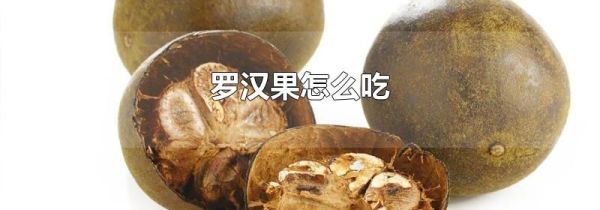 罗汉果怎么吃