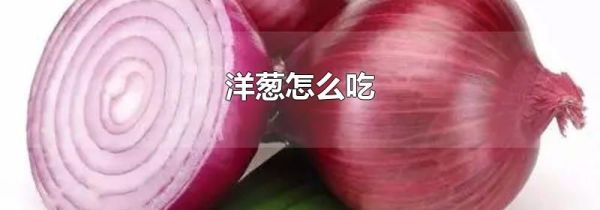 洋葱怎么吃