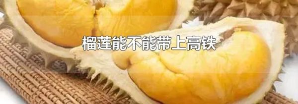 榴莲能不能带上高铁
