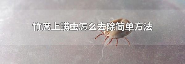 竹席上螨虫怎么去除简单方法