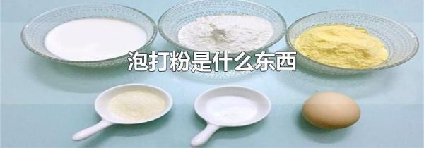 泡打粉是什么东西