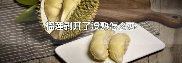 榴莲剥开了没熟怎么办