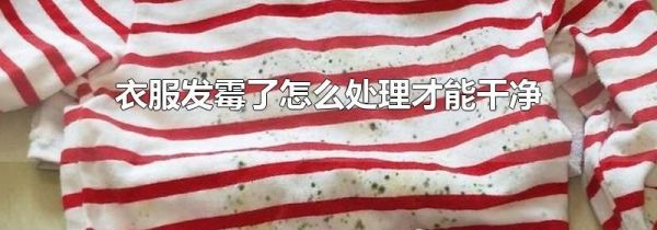 衣服发霉了怎么处理才能干净