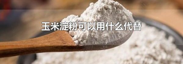 玉米淀粉可以用什么代替