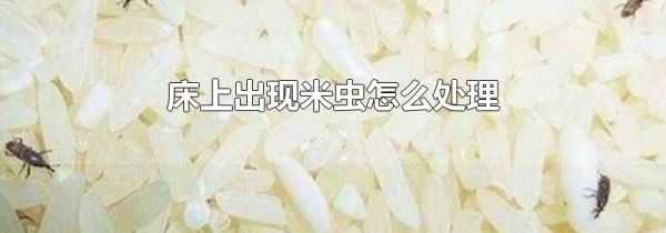 床上出现米虫怎么处理