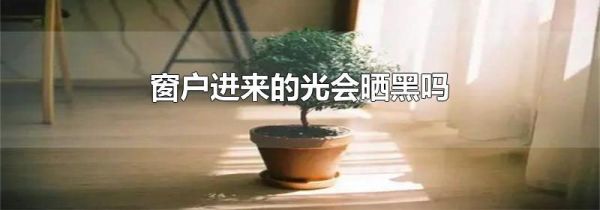 窗户进来的光会晒黑吗