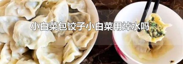 小白菜包饺子小白菜用焯水吗