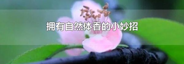 拥有自然体香的小妙招