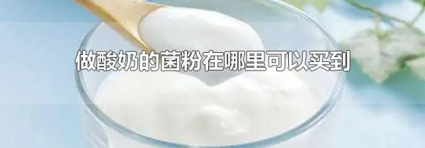 做酸奶的菌粉在哪里可以买到