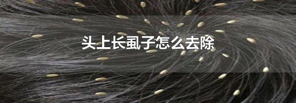头上长虱子怎么去除
