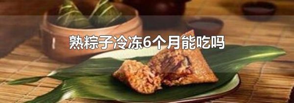 熟粽子冷冻6个月能吃吗