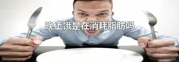 晚上饿是在消耗脂肪吗