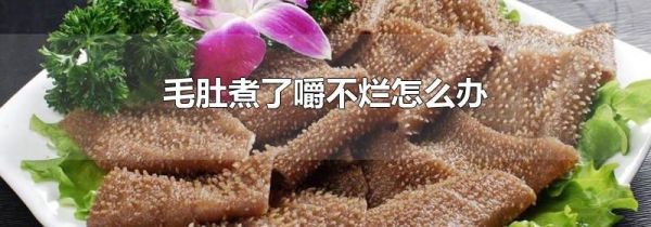 毛肚煮了嚼不烂怎么办