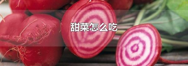 甜菜怎么吃
