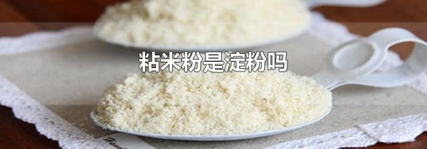 粘米粉是淀粉吗