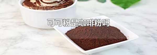 可可粉是咖啡粉吗