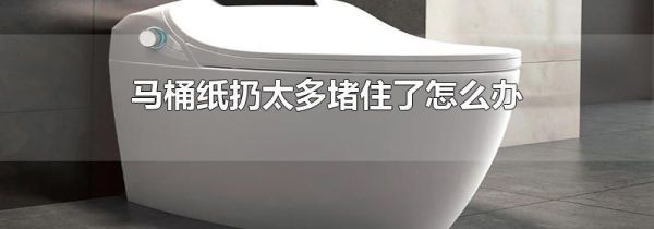 马桶纸扔太多堵住了怎么办