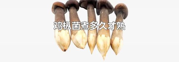 鸡枞菌煮多久才熟