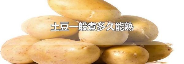 土豆一般煮多久能熟