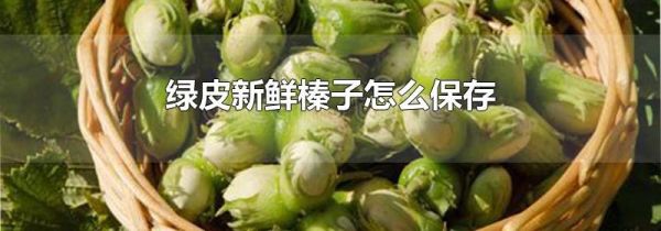 绿皮新鲜榛子怎么保存