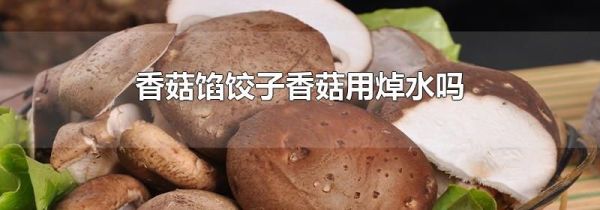 香菇馅饺子香菇用焯水吗