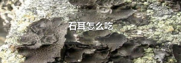 石耳怎么吃