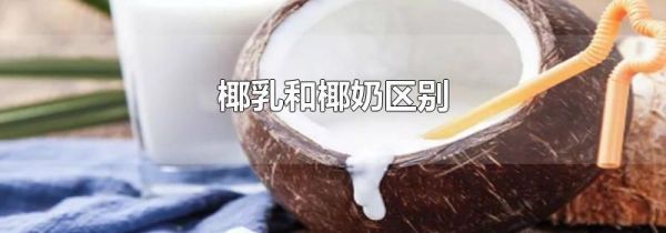 椰乳和椰奶区别