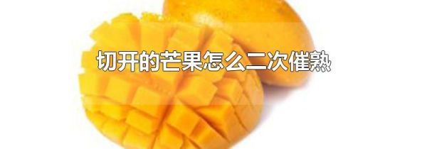 切开的芒果怎么二次催熟