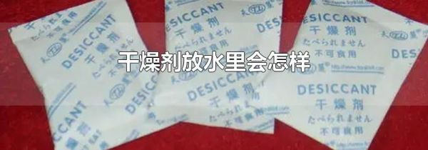 干燥剂放水里会怎样