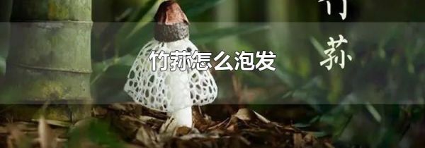 竹荪怎么泡发