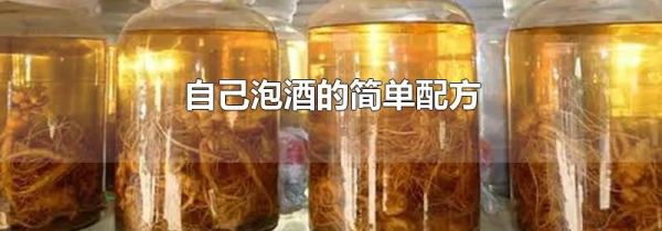 自己泡酒的简单配方