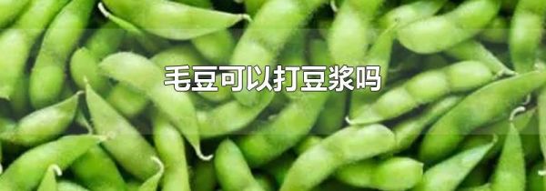 毛豆可以打豆浆吗