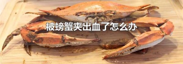 被螃蟹夹出血了怎么办