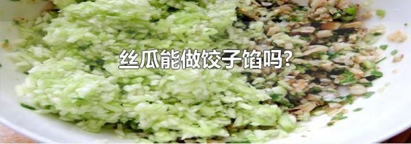 丝瓜能做饺子馅吗?