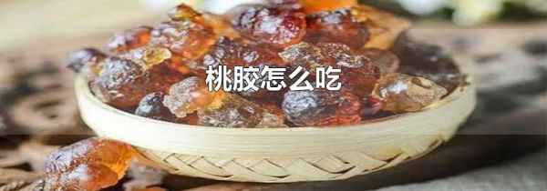 桃胶怎么吃