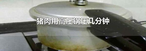 猪肉用高压锅压几分钟