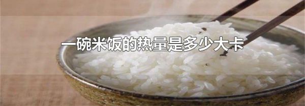 一碗米饭的热量是多少大卡