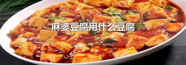 麻婆豆腐用什么豆腐
