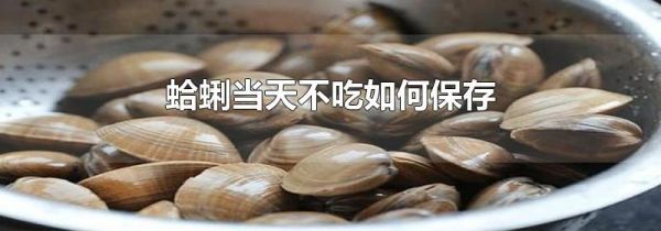 蛤蜊当天不吃如何保存