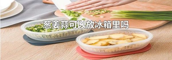 葱姜蒜可以放冰箱里吗